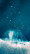 <b>浙江深港鞋业发现</b>